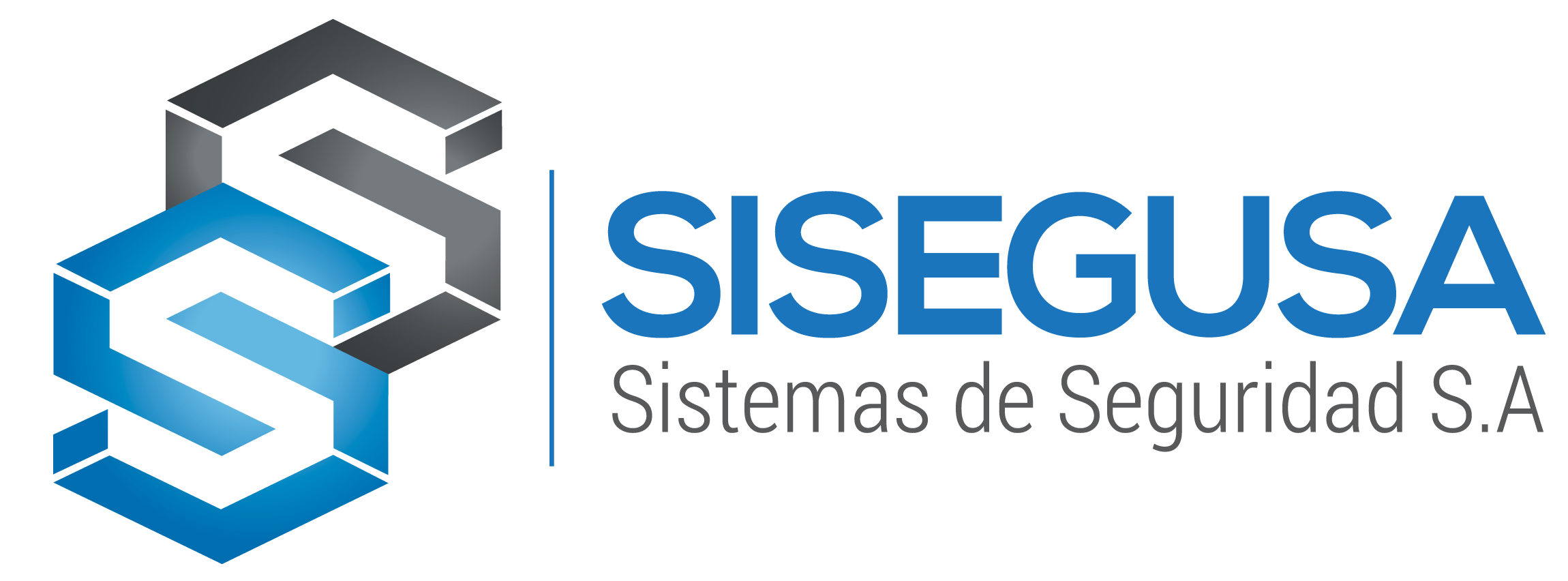 SISTEMAS DE SEGURIDAD S.A. SISEGUSA